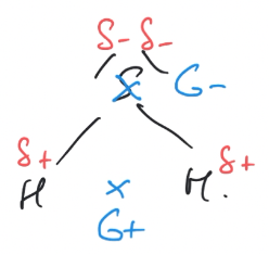 Molécule polaire $\mathrm{SH_2}$ Molécule polaire $\mathrm{SH}_2$