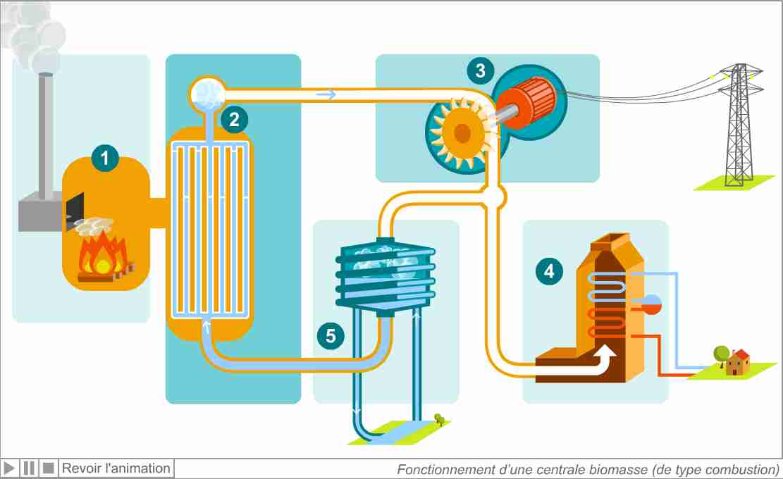 centrale-biomasse