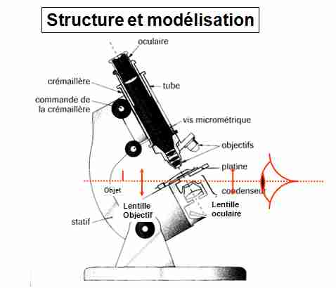 microscope2