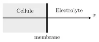 Figure1