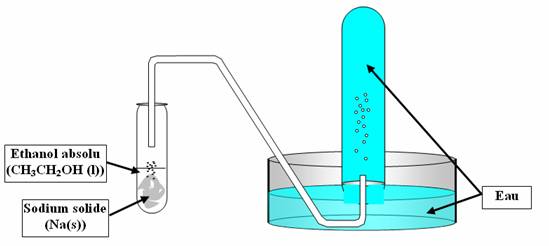 Réaction entre l'éthanol et le sodium