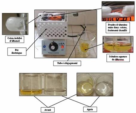 Déshydratation catalytique de l'éthanol