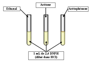 Test à la 2,4 DNPH