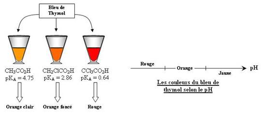 Mise en évidence de l'acidité des acides