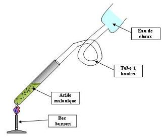 Décarboxylation de l'acide malonique