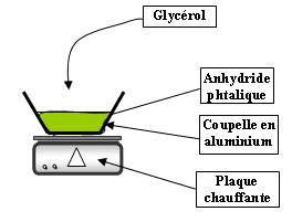 Formation d'un polyester