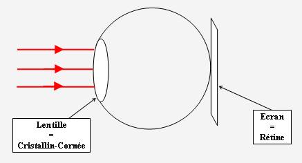 Modélisation de l'oeil