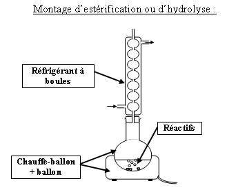 Montage d'estérification ou d'hydrolyse