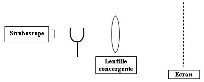 Oscillations des deux verges d'un diapason