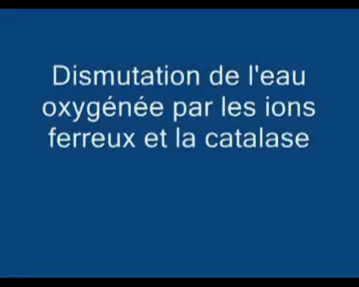 dismutation eau oxygénée par ions ferreux et catalase